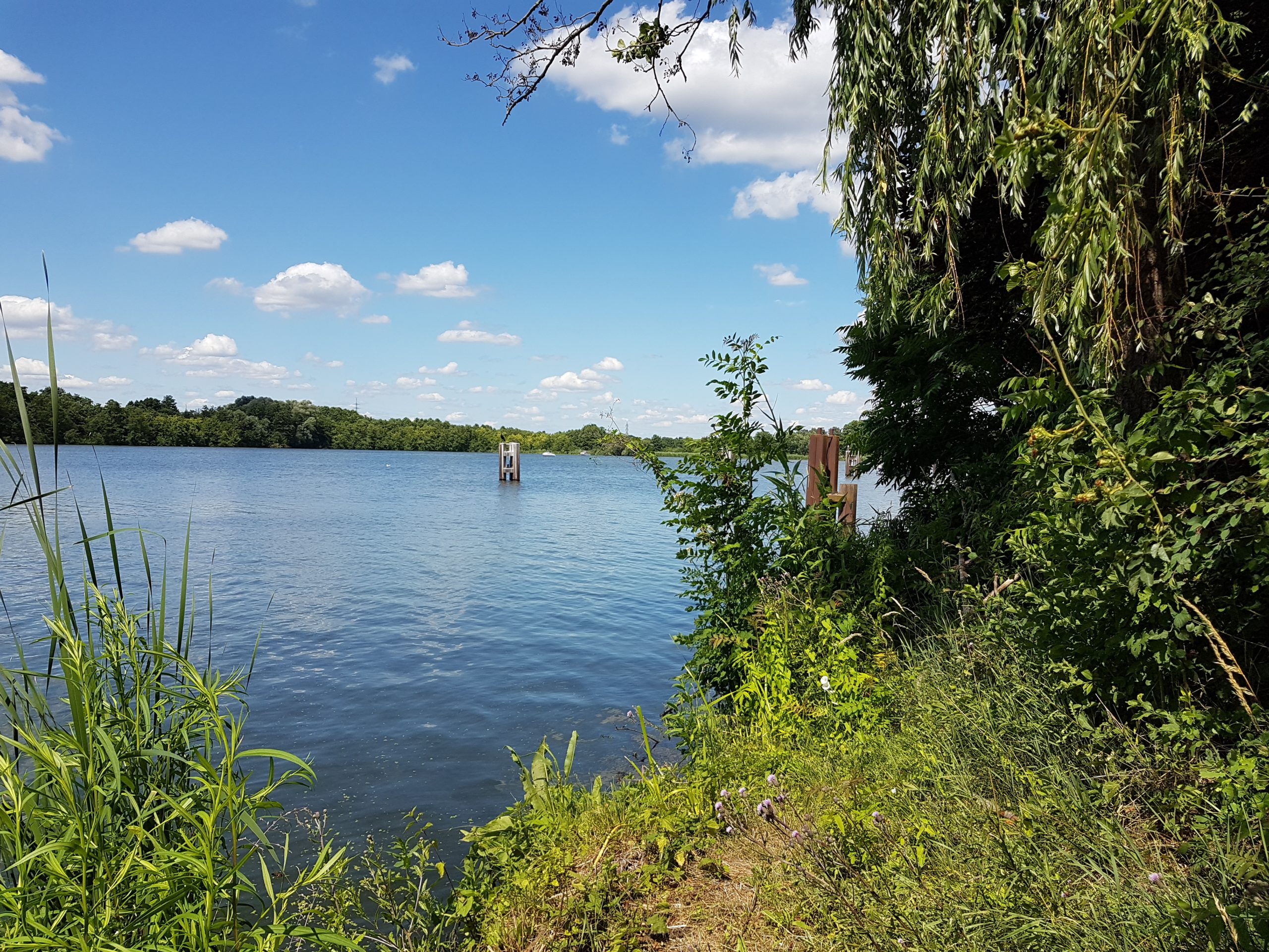 Quartier am Möllenzugsee